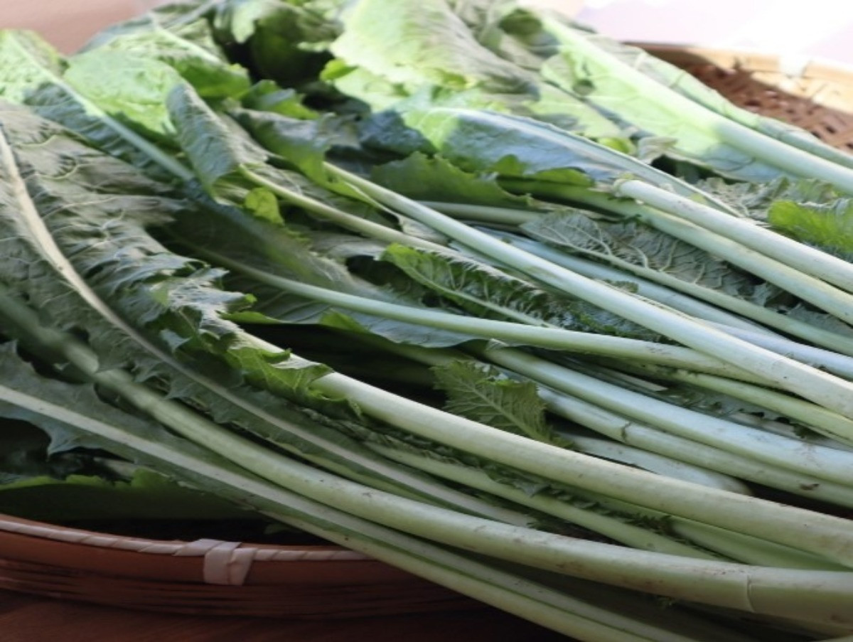 【箕輪町】みのわ温泉 お菜洗い場設置